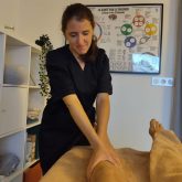 b1377be0-9b3c-4371-9240-37255165597b